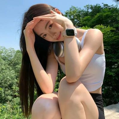 翼龙