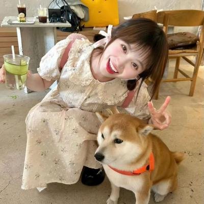 当爱再来的时候