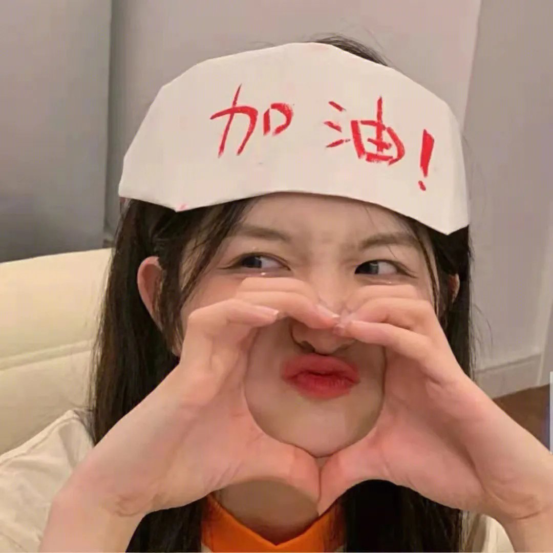 汉化日记第一季